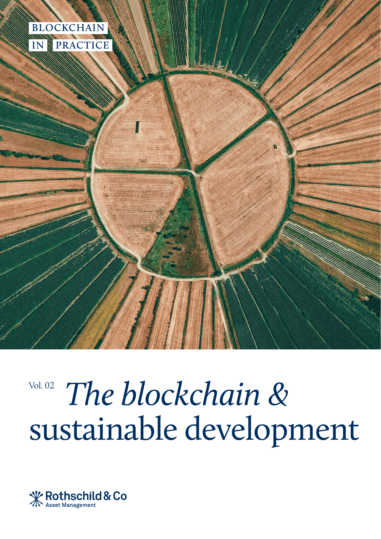 The blockchain & sustainable development
